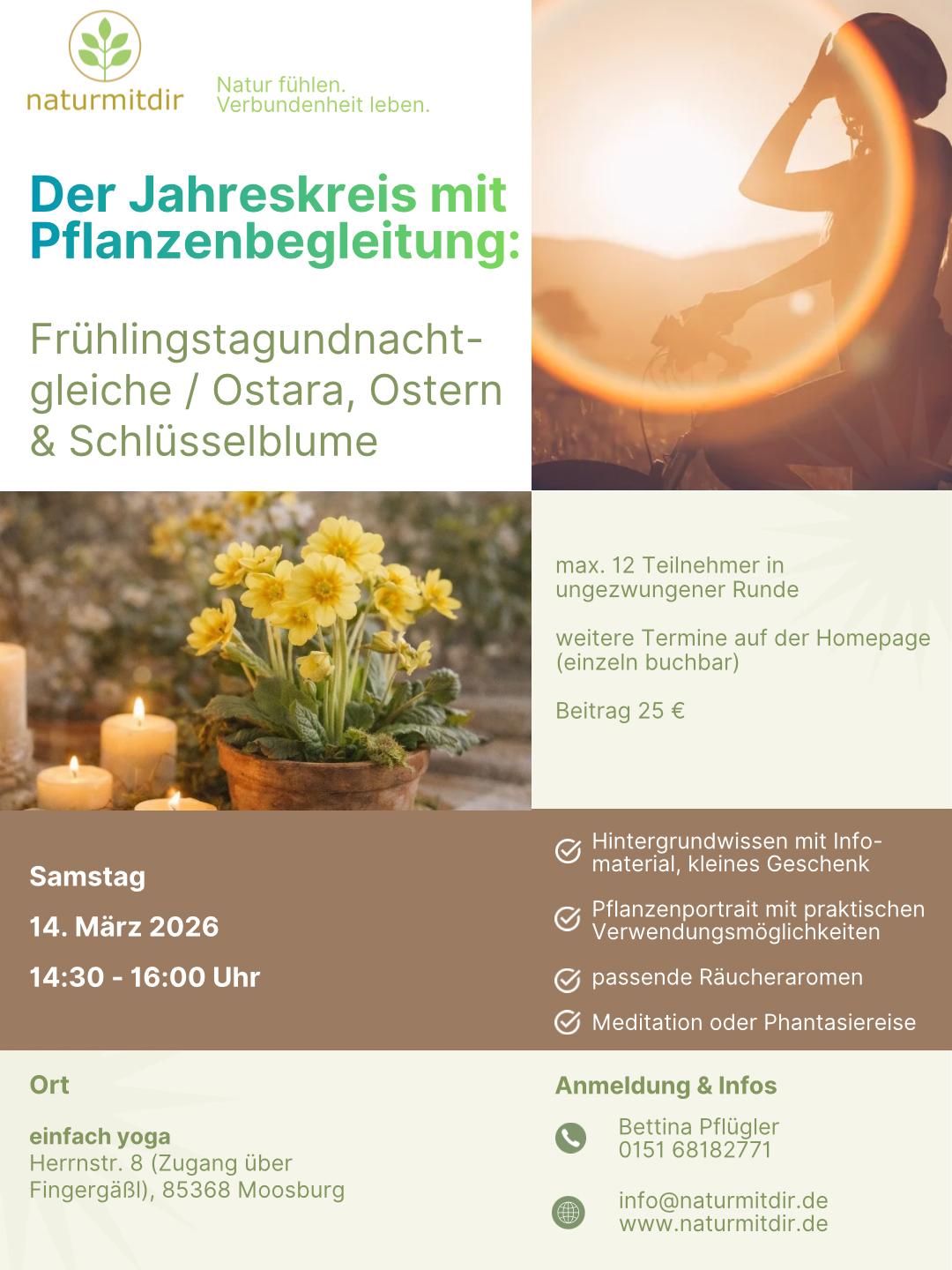 Jahreskreis Ostara Schluesselblume